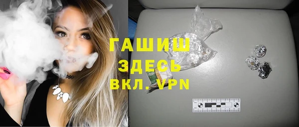 индика Осташков