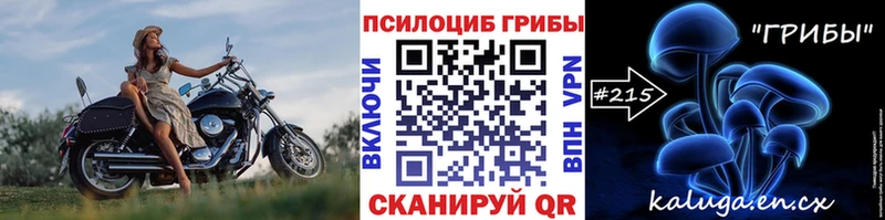 купить закладку  Прохладный  Галлюциногенные грибы GOLDEN TEACHER 